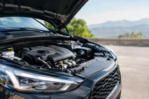 Risultati motore benzina che si sentono davvero